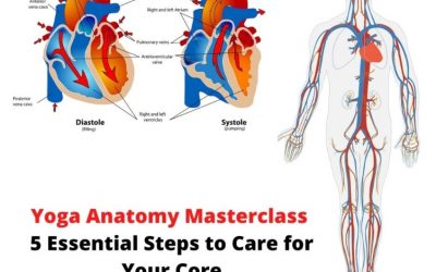 Yoga Anatomy Masterclass – 5 Essential Steps to Care for Your Core